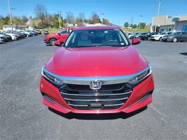 2019 Honda Accord